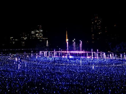 12月24日（水）今日の1コマ