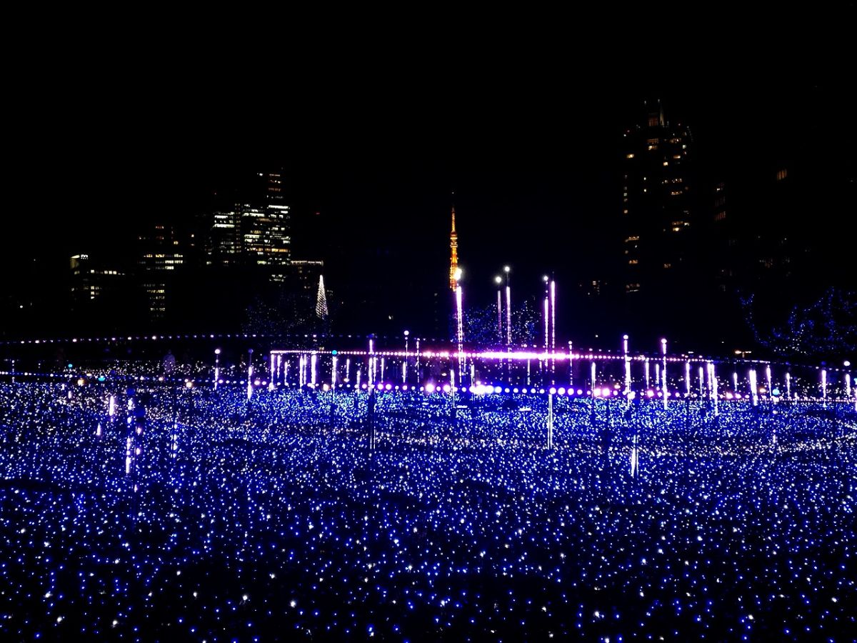 12月24日（水）今日の1コマ