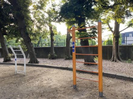 斉藤リョーツのいただき！ルーティン！