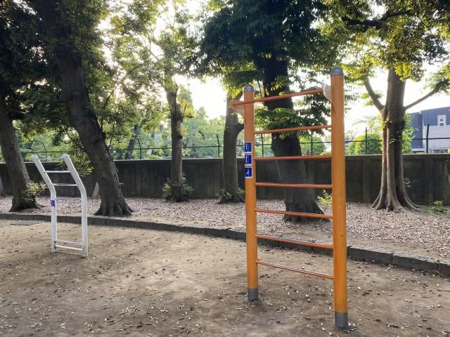 斉藤リョーツのいただき！ルーティン！