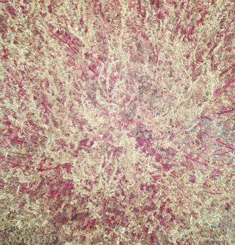 10月29日（木）今日の1コマ