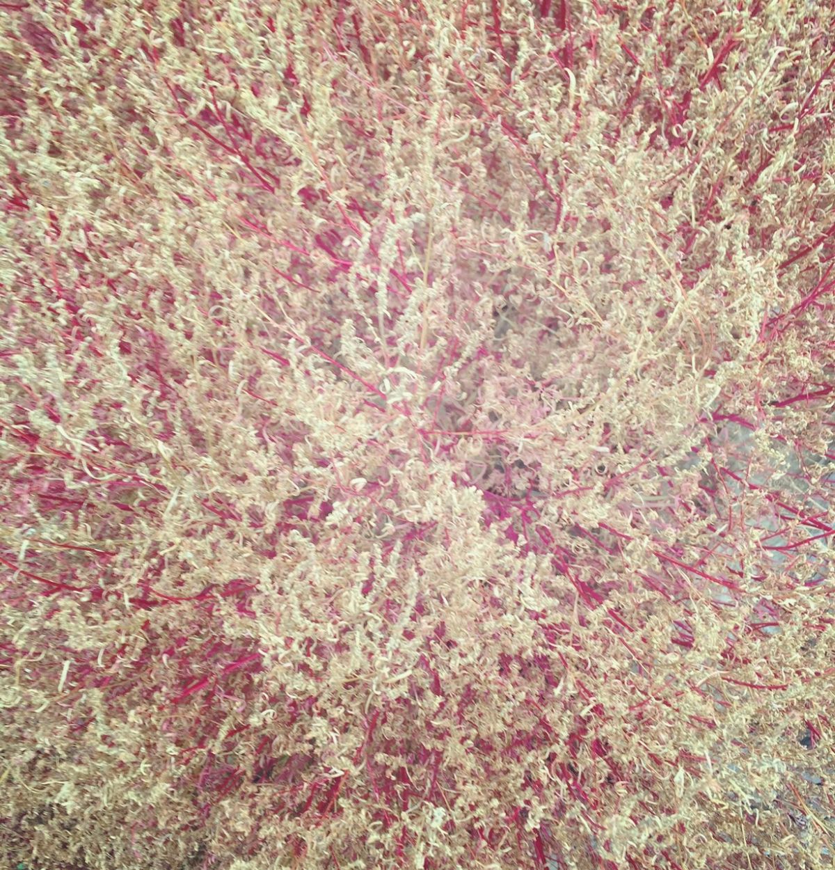 10月29日（木）今日の1コマ