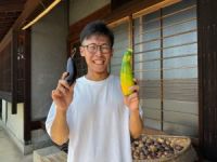 Vol.119 丸亀市・さぬき広島 町中華のような存在の宿に