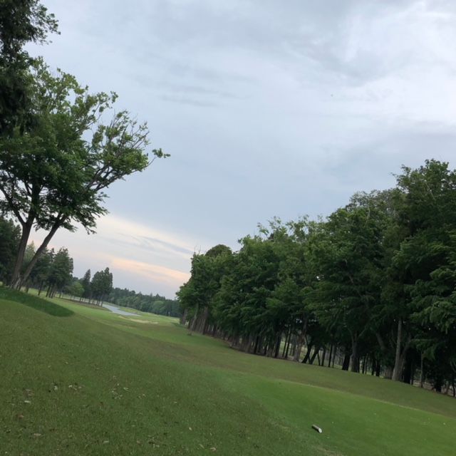 藤井悠のいただき！！インパクト！