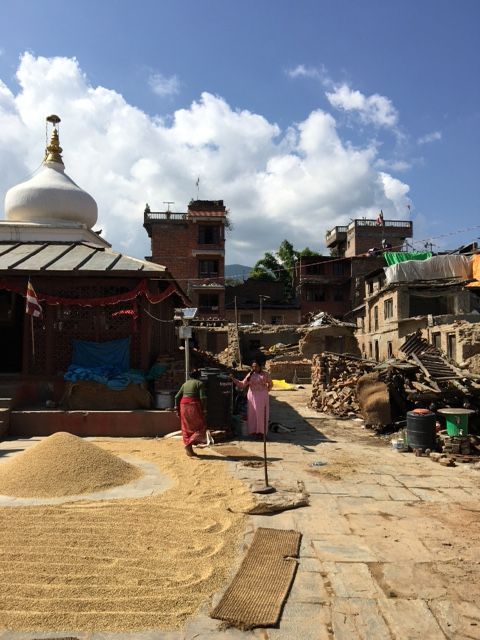 11月4日（水）担当：村上祐資