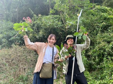 2023/11/19 　春に植えた、“秋に実のなる木”は、実をつけたのか！？