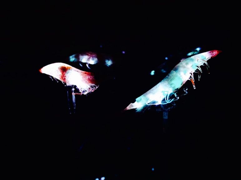 7月22日（水）担当：村上祐資