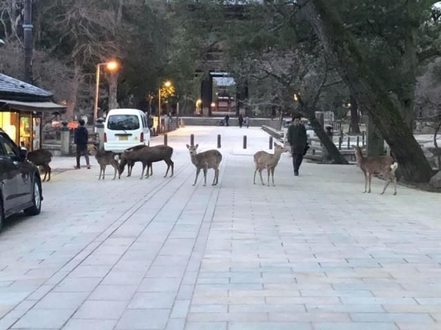 4月20日（月）　今日の1コマ
