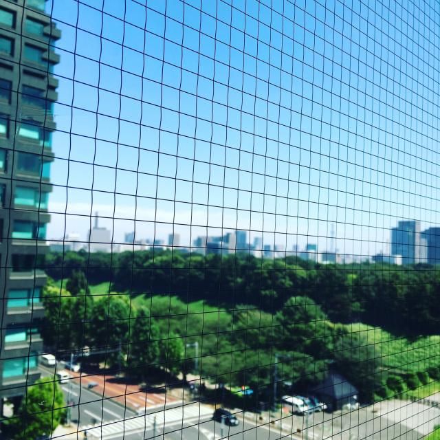 8月17日（水）simple style