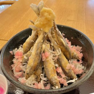 清流長良川と豊かな自然に囲まれた道の駅でアユ料理に舌鼓を打つ 【CITROEN BERLINGO LONG】（岐阜県郡上市白鳥町・道の駅 白山文化の里 長滝）