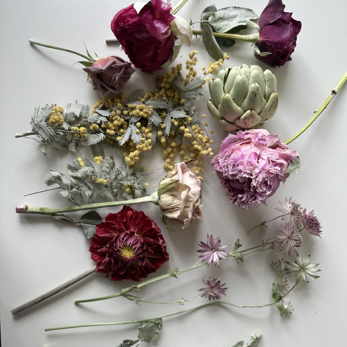 #30 次世代の花「ゼロフラワー」