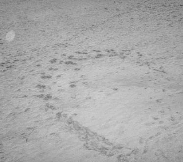 simple style　4月9日(金)今日のメニューは…