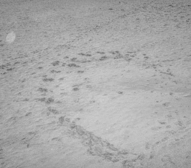 simple style　4月9日(金)今日のメニューは…