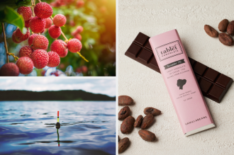 国産の生ライチ収穫を楽しめるプラン / チョコレートを買ってエクアドルのカカオ農園を支援 / 環境に優しいルアー：河口湖のSDGｓまなび館