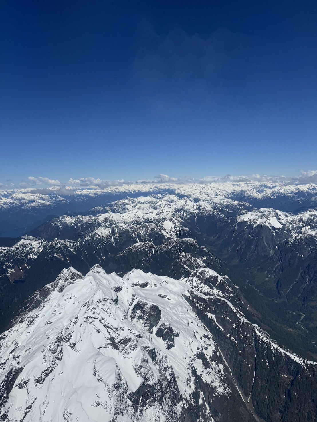 カナダに入国しようとしたら…