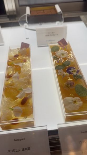 藤井悠のいただき！スイーツ！