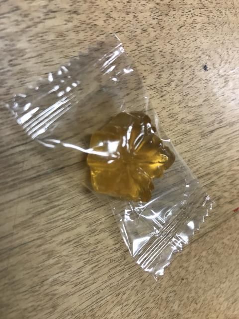 1月31日水曜オンプラテーマは「影ながらエピソード、教えて下さい！」