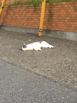 8月29日（火） 今日のメニューは？