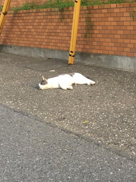 8月29日（火） 今日のメニューは？