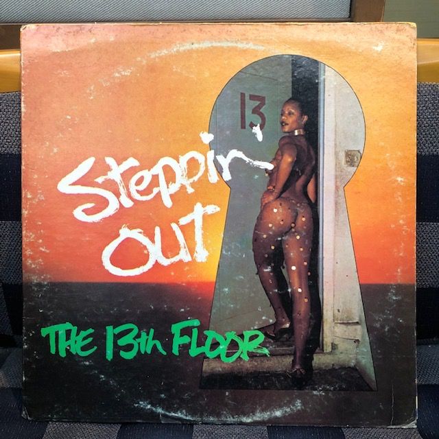 バイナルギャラリー (RHYMESTER DJ JINの秘蔵レコード)