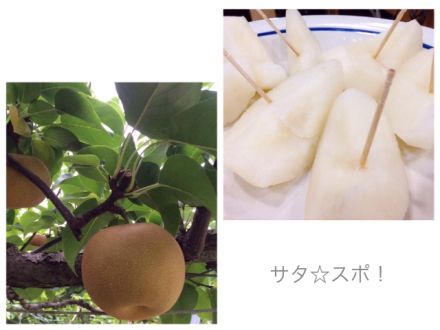 ８月２９日 サタ☆スポ！