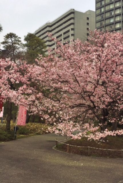 3月30日（水） simple style