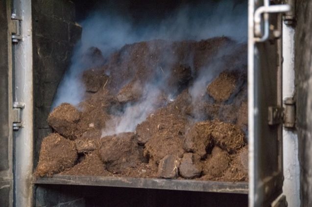 BROMPTON in the U.K.：第２回アイラ島〜ラフロイグ蒸留所