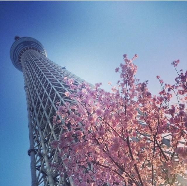4月4日（木）今日の一コマ♪