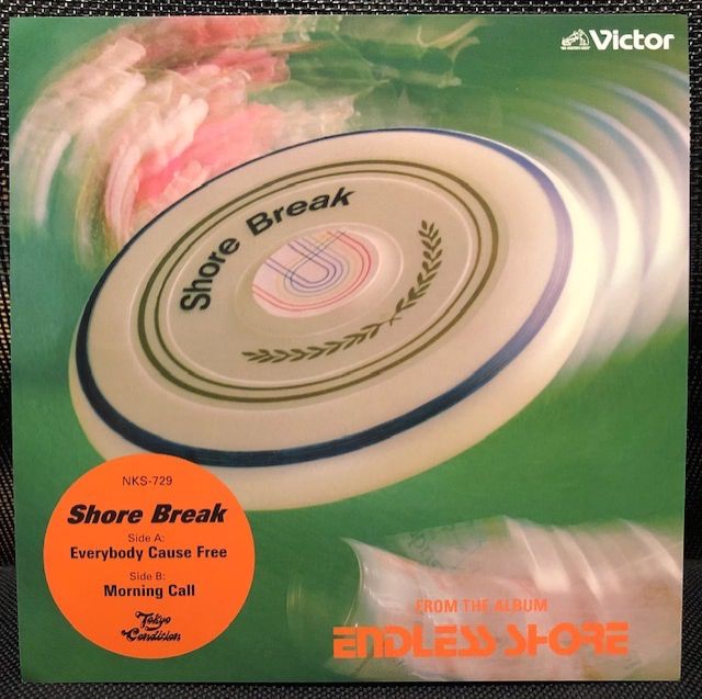 バイナルギャラリー (RHYMESTER DJ JINの秘蔵レコード)