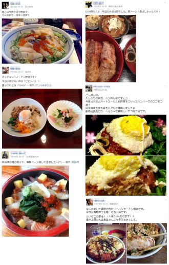 日本全国”丼”百景