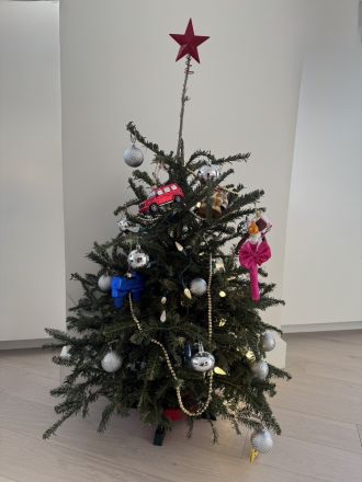 もみの木のクリスマスツリーを買いました！