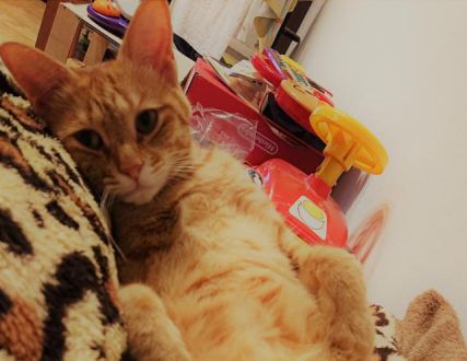 今日のテーマは『〇〇納め』！