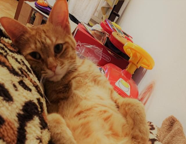 今日のテーマは『〇〇納め』！