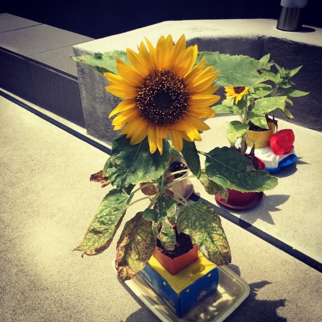 7月4日(火)今日のメニューは・・・