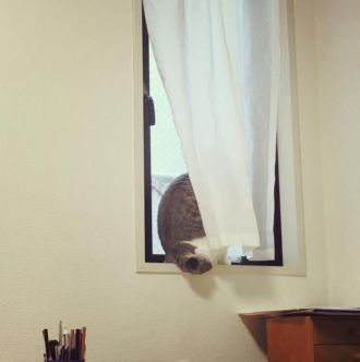 6月12日（月）今日の1コマ　