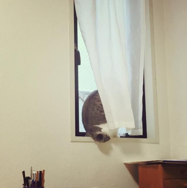 6月12日（月）今日の1コマ　