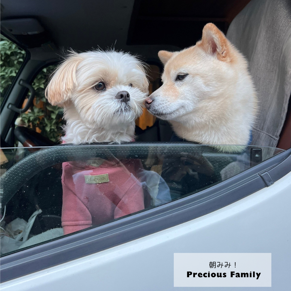 教えて！ニシカツ先生　「森のいぬねこ病院」の目指すもの　／　「朝みみ情報局」Biペットランドの岩崎ファミリーと一緒に！