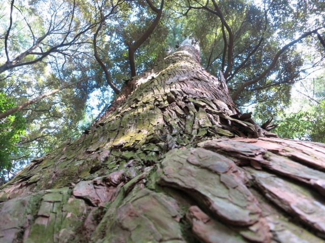 8月10日（月）今日の1コマ