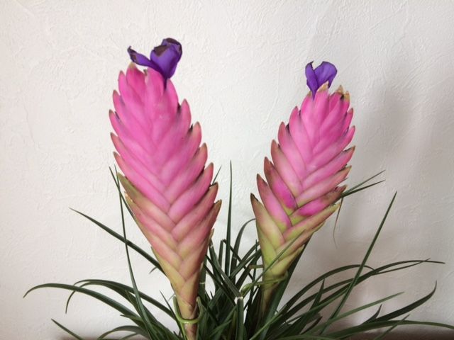 10月5日（月）今日の1コマ