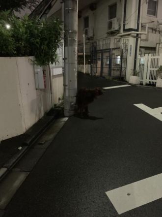 9月28日（月）　今日の1コマ