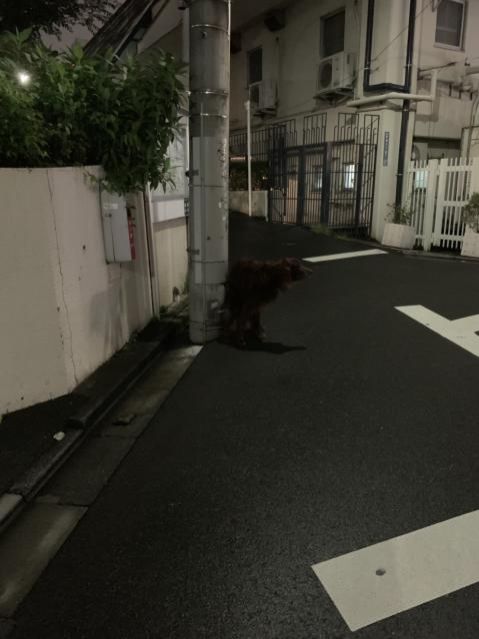 9月28日（月）　今日の1コマ