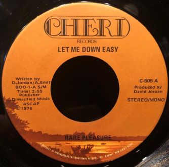 バイナルギャラリー (RHYMESTER DJ JINの秘蔵レコード)