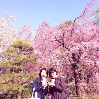 2015年4月3日（金）今日の1コマ