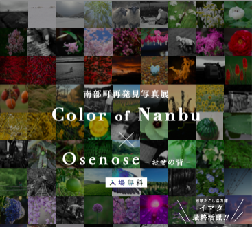 鳥取県南部町 地域おこし協力隊 今田智子さん 【ふるステ】