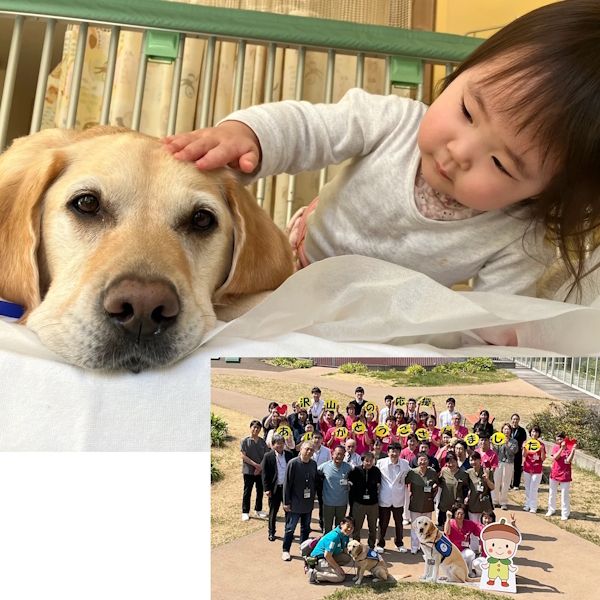 #39 こども病院で活躍する『ホスピタル・ファシリティドッグ』