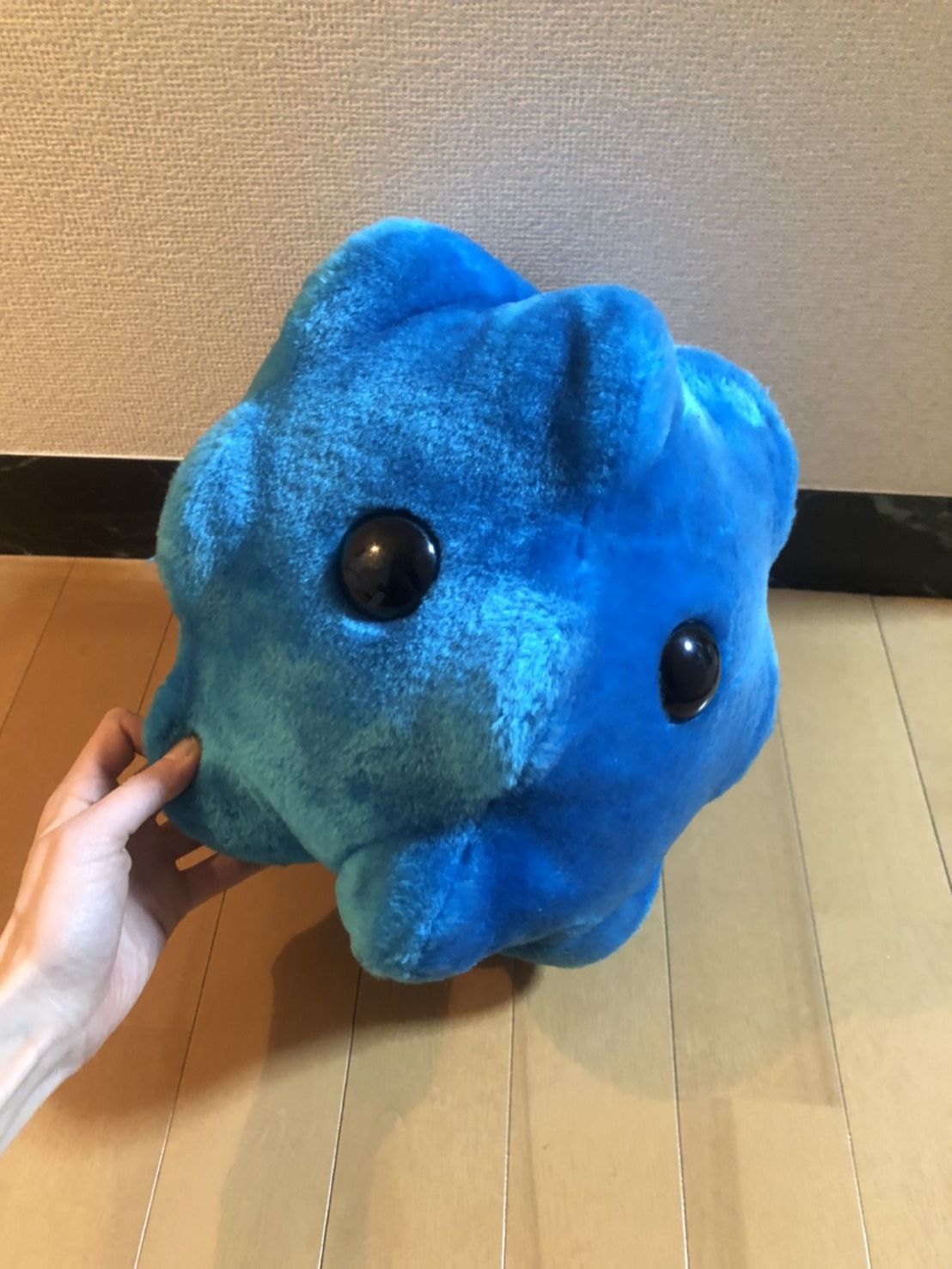 今日の華恵さんの音声コンテンツは、以前WHOを実際に訪れたときの話！