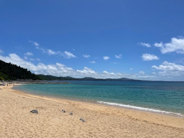 ラジオドラマ【Dear Japan～沖縄名護～第一話(ぜんざい・てんぷら)】