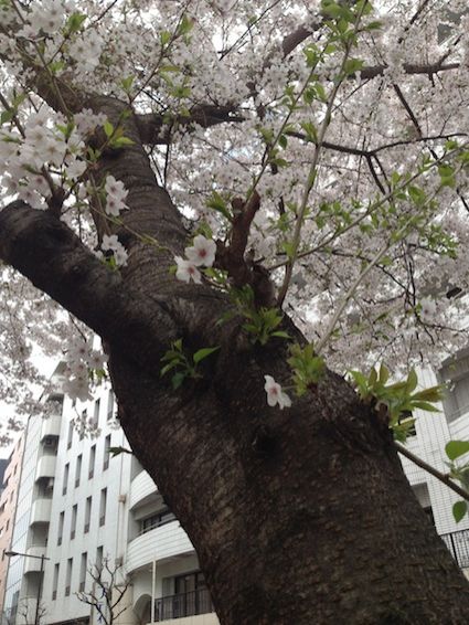 4月3日（金） simple style