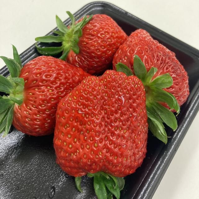 1月7日(木) 今日の1コマ♪