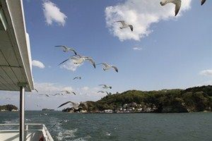 復興の礎～石巻・松島観光の今～